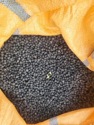 멋진동네님의 작성글 사진