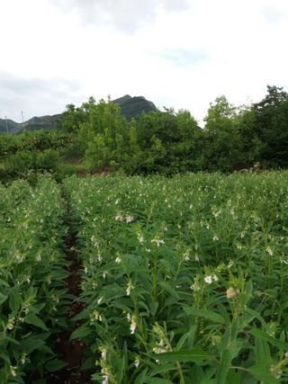 김영복님의 2024년 농사 계획은? · 참여글 작성글 사진