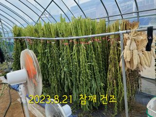 농부(홍)님의 2024년 농사 계획은? · 참여글 작성글 사진