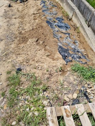 내갈길내가개척님의 2024년 농사 계획은? · 참여글 작성글 사진