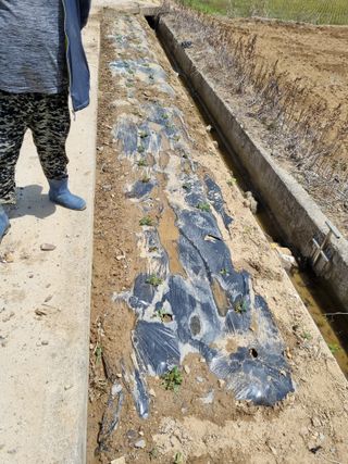 내갈길내가개척님의 2024년 농사 계획은? · 참여글 작성글 사진