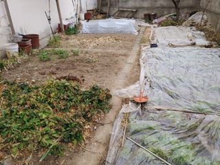 내갈길내가개척님의 2024년 농사 계획은? · 참여글 작성글 사진