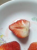 팜모닝 딸기·병해충상담 게시글 이미지