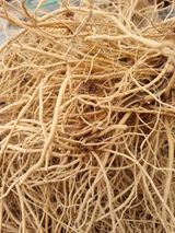 팜모닝 기타작물·자유게시판 게시글 이미지