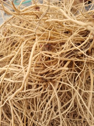 이송화님의 기타작물 · 자유게시판 작성글 사진