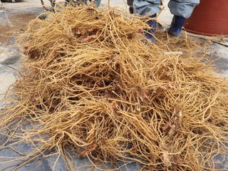 이송화님의 기타작물 · 자유게시판 작성글 사진