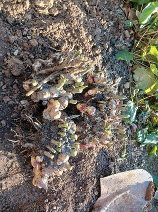 주정순님의 2024년 농사 계획은? · 참여글 작성글 사진