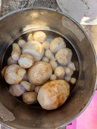 주정순님의 2024년 농사 계획은? · 참여글 작성글 사진