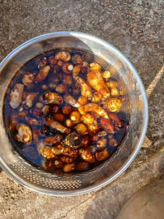 주정순님의 2024년 농사 계획은? · 참여글 작성글 사진