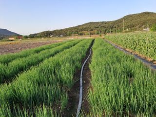 알 수 없음님의 2024년 농사 계획은? · 참여글 작성글 사진