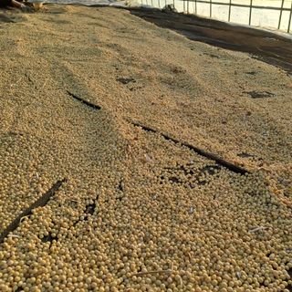 알 수 없음님의 2024년 농사 계획은? · 참여글 작성글 사진