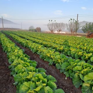 알 수 없음님의 2024년 농사 계획은? · 참여글 작성글 사진