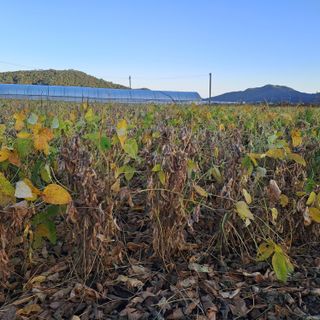 알 수 없음님의 2024년 농사 계획은? · 참여글 작성글 사진