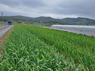 알 수 없음님의 2024년 농사 계획은? · 참여글 작성글 사진