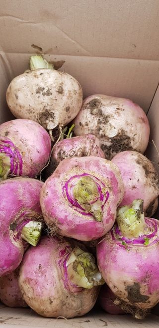 강화댁님의 자유주제 · 자유게시판 작성글 사진