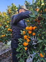 팜모닝 · 게시글 이미지