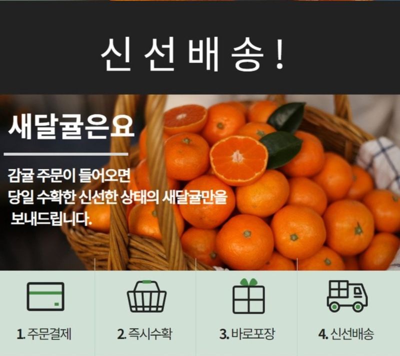 새달귤농장님의 장터 판매 상품 [달다 조생귤5키로] 첨부 사진