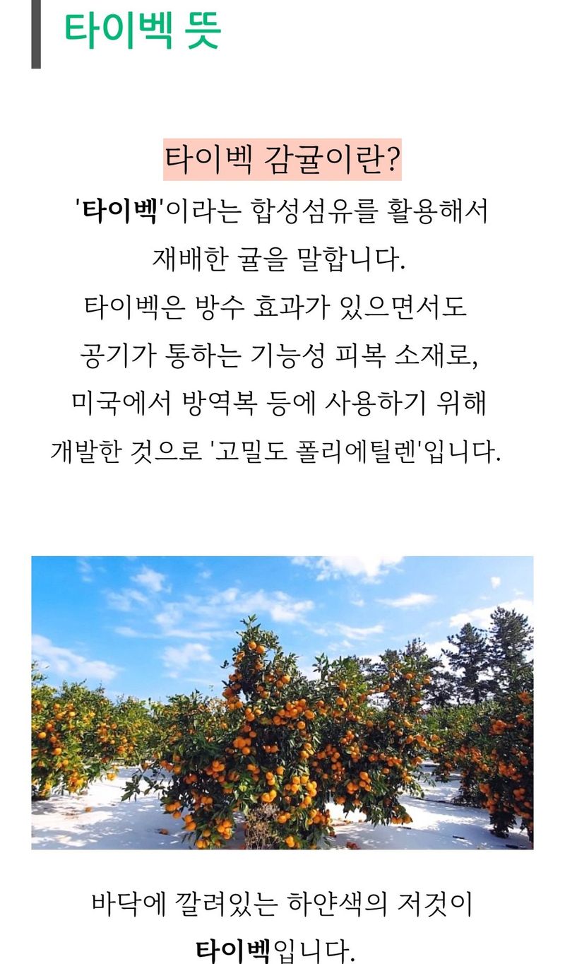 새달귤농장님의 장터 판매 상품 [달다 조생귤5키로] 첨부 사진