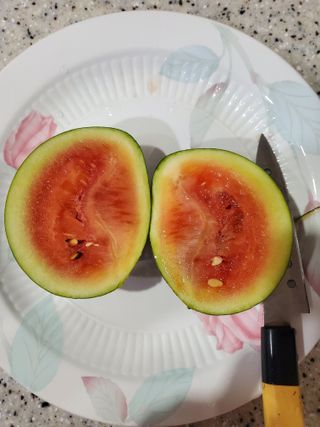 김나영 (천일염소금님의 2024년 농사 계획은? · 참여글 작성글 사진