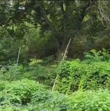 팜모닝 자유주제·자유게시판 게시글 이미지