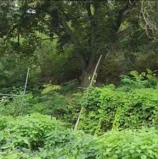 권영동 님의 자유주제 · 자유게시판 작성글 사진