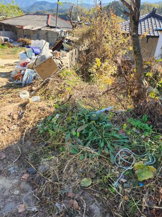 나영호님의 2024년 농사 계획은? · 참여글 작성글 사진