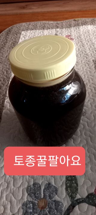 강동성님의 작성글 사진