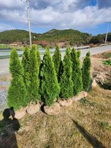 팜모닝 2024년 농사 계획은?·참여글 게시글 이미지