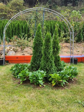 진도힐링농원님의 2024년 농사 계획은? · 참여글 작성글 사진