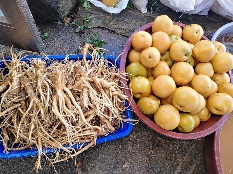 이현상님의 장터 판매 상품 [황 칠 즙   100포] 첨부 사진