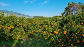 허니 오름대장님의 작성글 사진