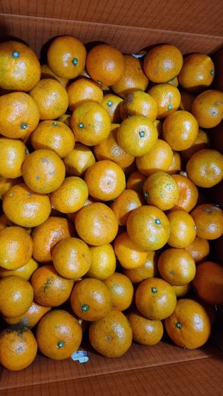 허니 오름대장님의 작성글 사진