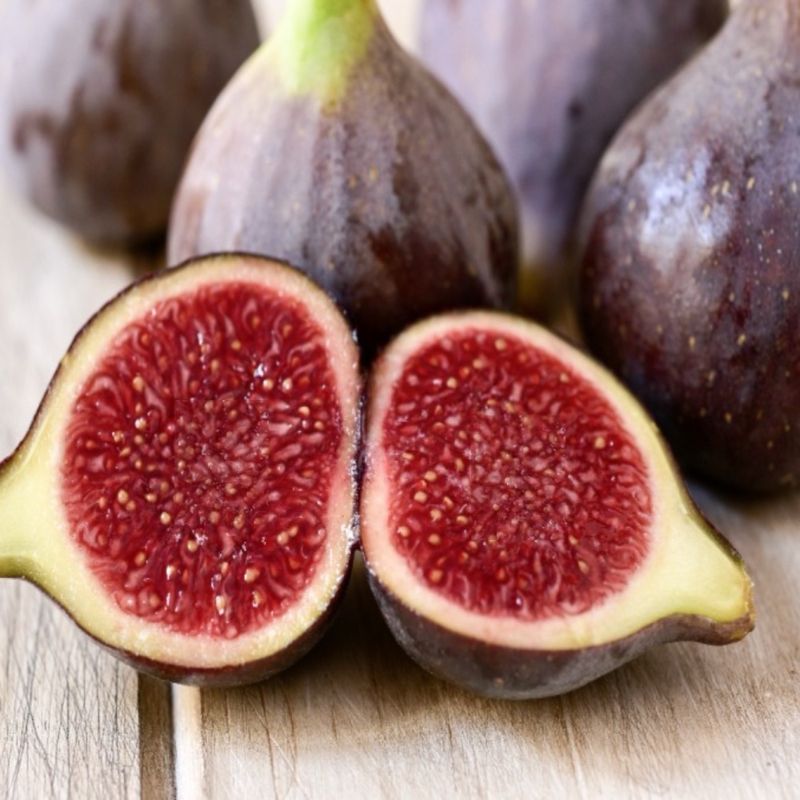 장터 상품 [무화과(승정도후인) 삽목1년생 묘목] 썸네일