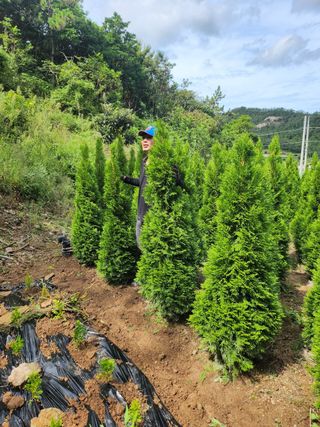 진도힐링농원님의 2024년 농사 계획은? · 참여글 작성글 사진