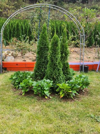 진도힐링농원님의 2024년 농사 계획은? · 참여글 작성글 사진