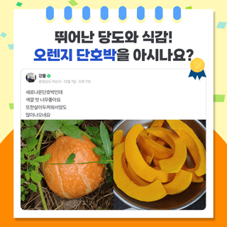 팜모닝 베스트님의 팜모닝공식 · 팜모닝 베스트 작성글 사진