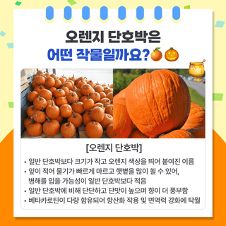 팜모닝 베스트님의 팜모닝공식 · 팜모닝 베스트 작성글 사진