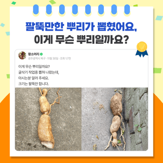 팜모닝 베스트님의 팜모닝공식 · 팜모닝 베스트 작성글 사진