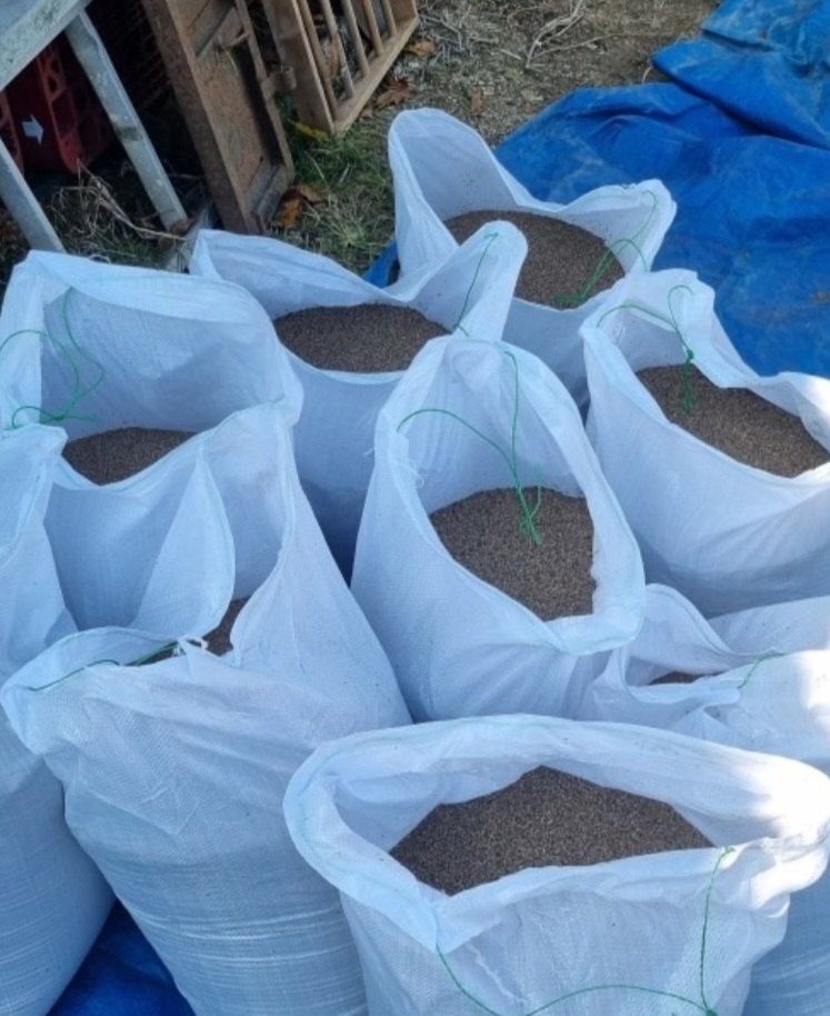 장터 상품 [들깨판매합니다 ] 썸네일