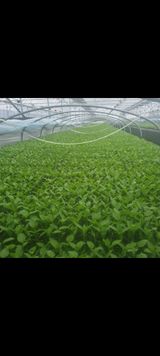 팜모닝 2024년 농사 계획은?·참여글 게시글 이미지