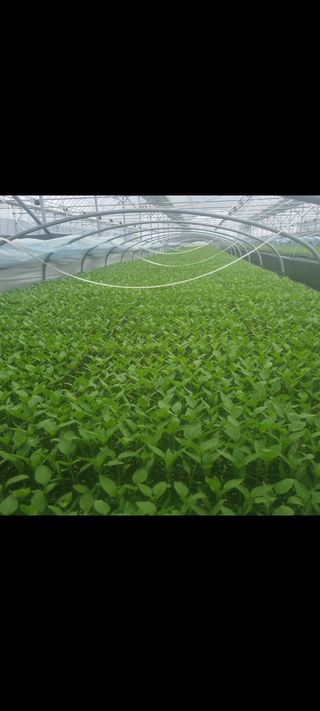 정대장님의 2024년 농사 계획은? · 참여글 작성글 사진