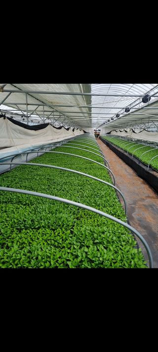 정대장님의 2024년 농사 계획은? · 참여글 작성글 사진