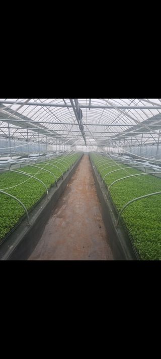 정대장님의 2024년 농사 계획은? · 참여글 작성글 사진