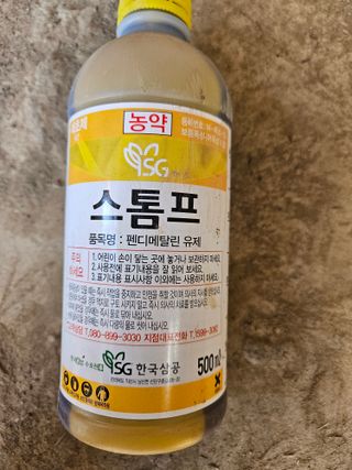 배필이님의 2024년 농사 계획은? · 참여글 작성글 사진