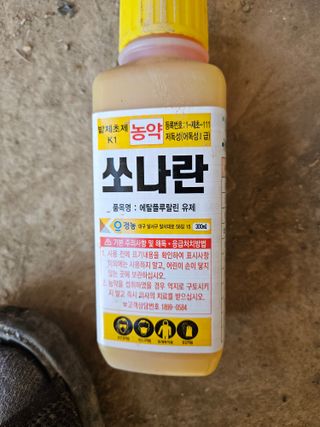 배필이님의 2024년 농사 계획은? · 참여글 작성글 사진