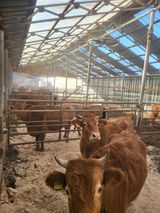 팜모닝 기타작물·자유게시판 게시글 이미지