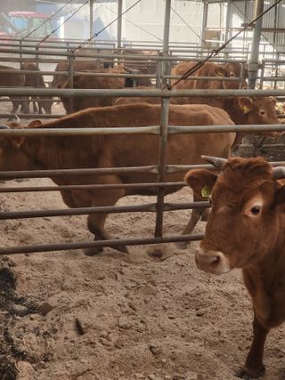 박준하님의 기타작물 · 자유게시판 작성글 사진