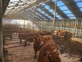 박준하님의 기타작물 · 자유게시판 작성글 사진