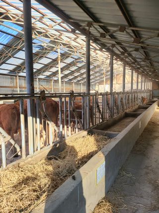 박준하님의 기타작물 · 자유게시판 작성글 사진