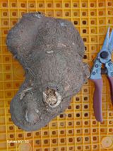 팜모닝 우리동네·동네자랑 게시글 이미지